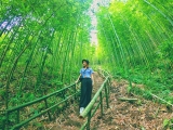 ປ່າໄມ້ຊອດຢູ່ເມືອງ ມູກັງຈາຍ