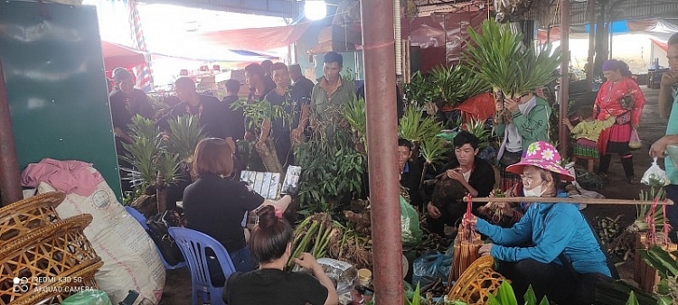 Chợ đêm Tủa Chùa đã trở thành một sản phẩm đặc trưng của huyện, có sức hấp dẫn và thu hút rất lớn không chỉ đối với người dân địa phương mà còn cả du khách gần xa (Ảnh: Hồng Sơn).  ຕະ​ຫລາດ​ກາງຄືນ​ຕົວຈົວ​ໄດ້​ກາຍ​ເປັນ​ສິນຄ້າ​ສະ​ເພາະ​ຂອງ​ເມືອງ, ດ້ວຍ​ຄວາມ​ດູດ​ດື່ມ ​ແລະ ຄວາມ​ດຶງ​ດູດ​ສູງ ​ບໍ່​ພຽງ​ແຕ່​ຕໍ່ກັບປະຊາຊົາທ້ອງຖິ່ນ ແຕ່ຍັງ​ມີ​ນັກ​ທ່ອງ​ທ່ຽວ​ທັງ​ຢູ່​ໃກ້ ​ແລະ ​ໄກ​ອີກ​ດ້ວຍ (ພາບ: ຮົ່ງ​ເຊີນ).