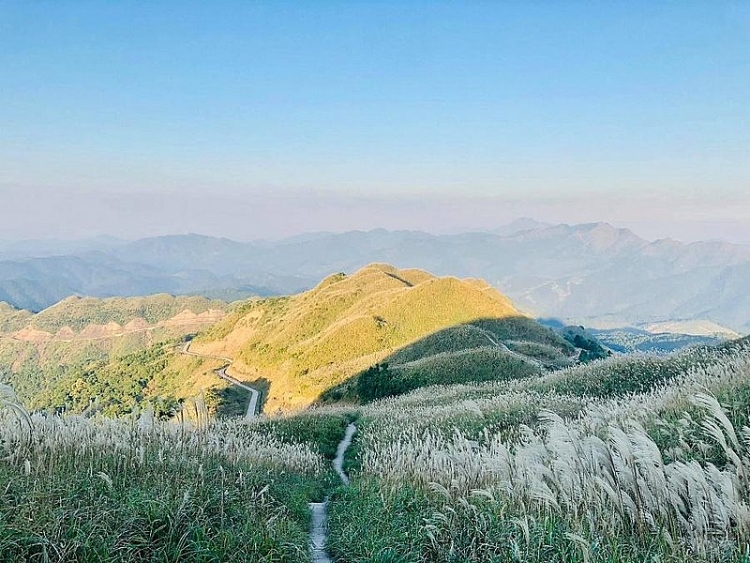 ຫຼົງໄຫຼເສັ້ນທາງລາດຕະເວນຊາຍແດນບິ່ງລຽວ