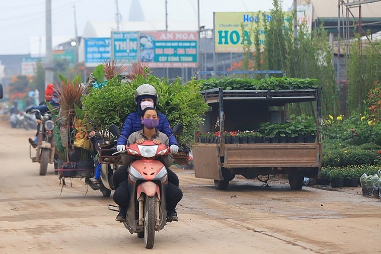 ໝູ່​ບ້ານ​ດອກ​ໄມ້ຊວນ​ກວານ ພວມ​ຄຶກ​ຄື້ນ​ໄປ​ດ້ວຍລະດູ​ດອກ​ໄມ້​ໃນ​ໂອ​ກາດ​ບຸນ​ປີໃໝ່ປີຂານ