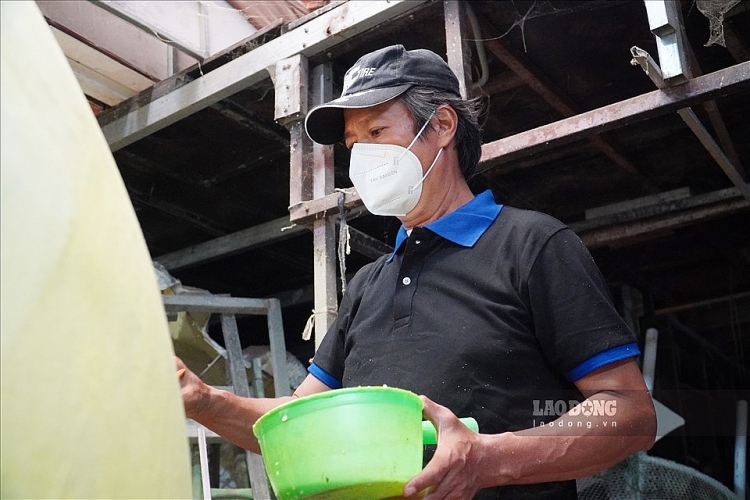 ເຜີຍແຜ່ຮູບພາບສັດນໍາໂຊກ ຮັບໃຊ້ຖະຫນົນດອກໄມ້ ຫງວຽນເຫ້ວ ສຳລັບປີ ຂານ 2022 ເຜີຍແຜ່ຮູບພາບສັດນໍາໂຊກ ຮັບໃຊ້ຖະຫນົນດອກໄມ້ ຫງວຽນເຫ້ວ ສຳລັບປີ ຂານ 2022