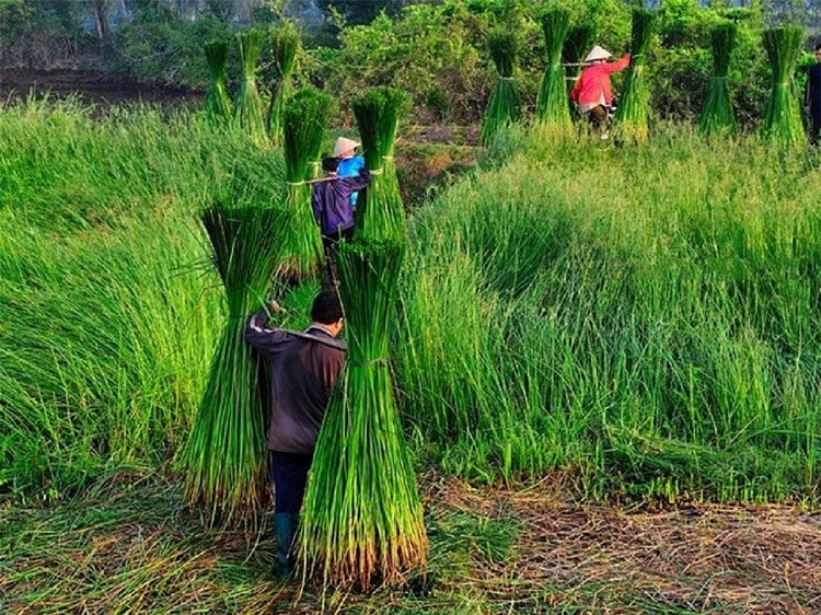 ຄົ້ນ​ພົບ​ໝູ່​ບ້ານ​ຕໍ່າສາດ​ທີ່​ມີ​ສີ​ສັນຫຼາກຫຼາຍ​ອາ​ຍຸ​ຮ້ອຍ​ປີ​ຢູ່​ແຂວງ ຟູ​ອຽນ