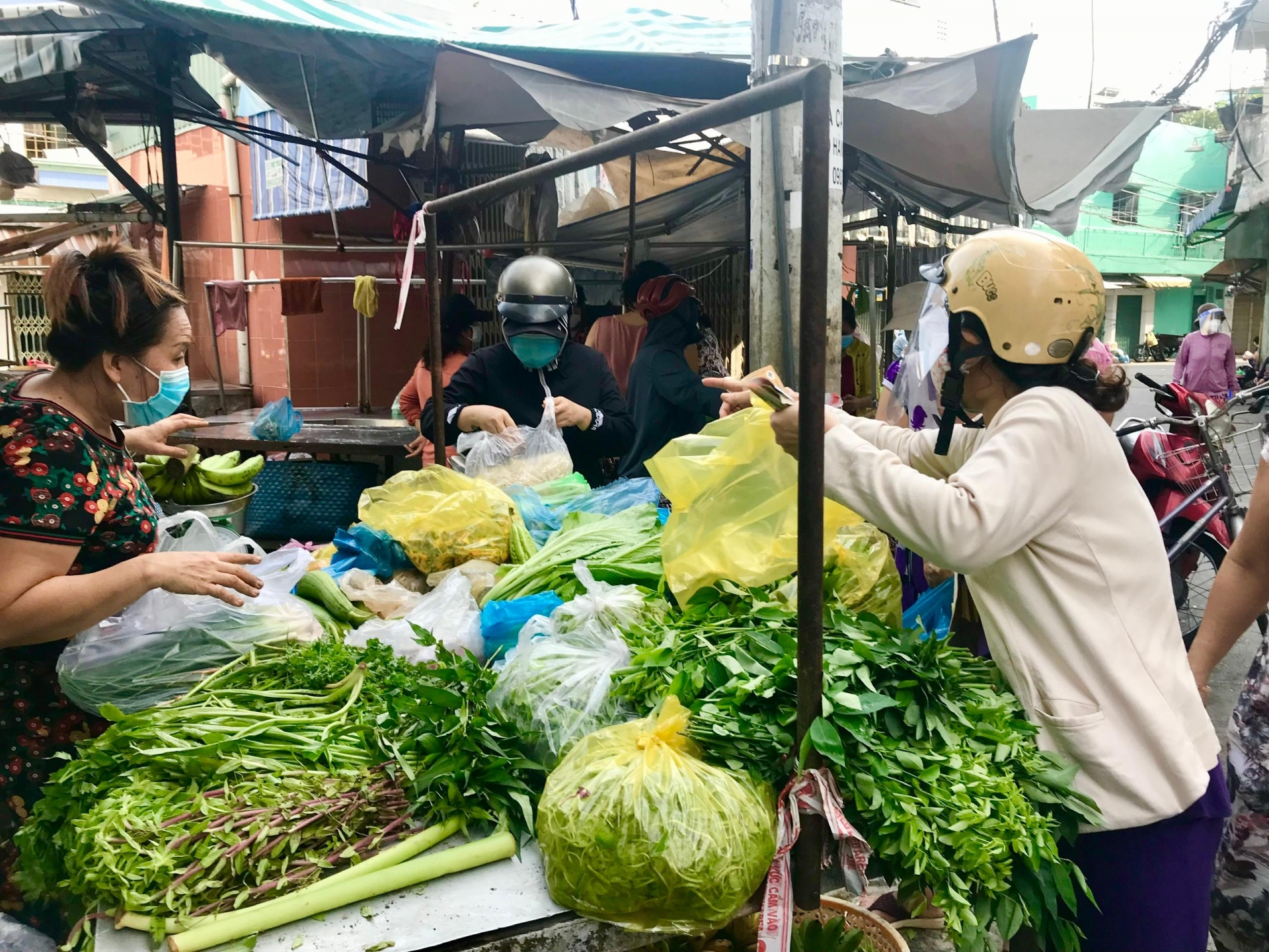 ການ​ສົ່ງ​ອອກ​​ຜັກ, ໝາກ​ໄມ້​ຂອງ ຫວຽດ​ນາມ ຄາດ​ວ່າ​ຈະ​ລື່ນ​ກາຍ 7 ຕື້ USD