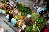 ການ​ສົ່ງ​ອອກ​​ຜັກ, ໝາກ​ໄມ້​ຂອງ ຫວຽດ​ນາມ ຄາດ​ວ່າ​ຈະ​ລື່ນ​ກາຍ 7 ຕື້ USD