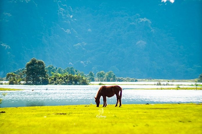 ຫຼົງໄຫຼເຂົ້າໄປ​ຢູ່​ເຂດທົ່ງຫຍ້າຂຽວກວ້າງ​​ ຢູ່ດົ່ງເລິມ