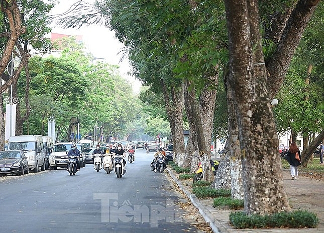 ຊົມຖະໜົນຄົນຍ່າງອ້ອມໜອງທຽນກວາງ ທີ່ໃກ້ຈະເປີດນໍາໃຊ້ ຊົມຖະໜົນຍ່າງອ້ອມໜອງທຽນກວາງ ທີ່ໃກ້ຈະເປີດນໍາໃຊ້