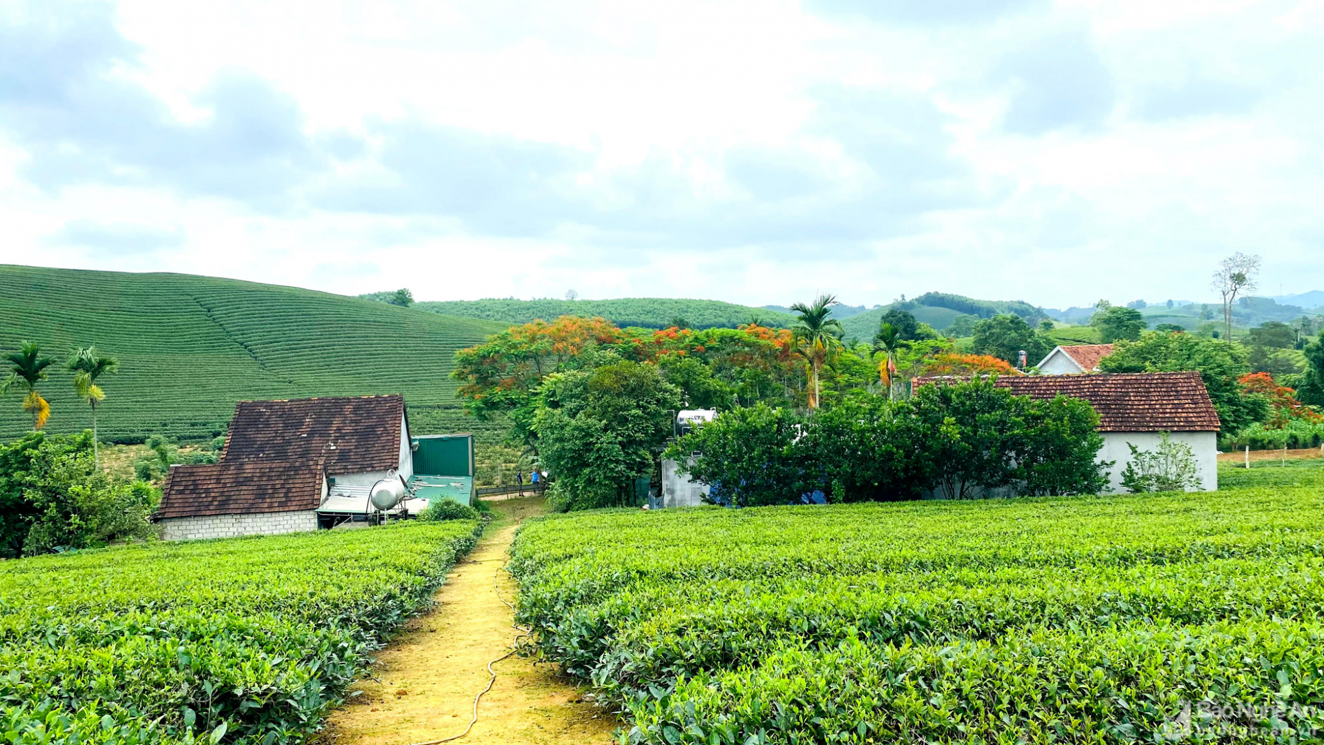 ທິວທັດແອງເຊີນ ທີ່ຈັບອົກຈັບໃຈທີ່ສຸດ ທິວທັດແອງເຊີນ ທີ່ຈັບອົກຈັບໃຈທີ່ສຸດ