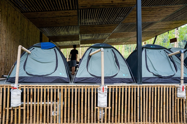 ຕັ້ງຄ້າຍຢູ່ກາງປ່າກວາງບິ່ງ ຕັ້ງຄ້າຍຢູ່ກາງປ່າກວາງບິ່ງ