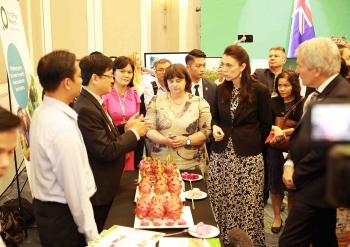 ຫວຽດນາມ - ນິວຊີແລນ: ຄູ່ຮ່ວມມືຍຸດທະສາດໃນຂົງເຂດກະສິກຳ