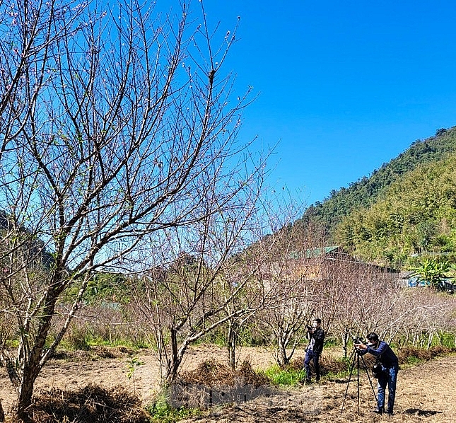 ຂຶ້ນ​ໄປ​ທີ່ 'ປະ​ຕູ​ສະ​ຫວັນ​' ຊົມດອກຄາຍເບັ່ງບານ