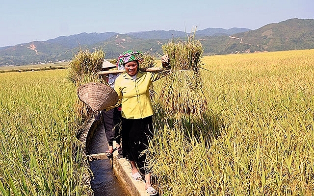 ສະຫະປະຊາຊາດ ໄດ້ເລືອກເອົາປີ 2026 ເປັນປີສາກົນ ແມ່ຍິງເຮັດວຽກງານກະສິກຳ