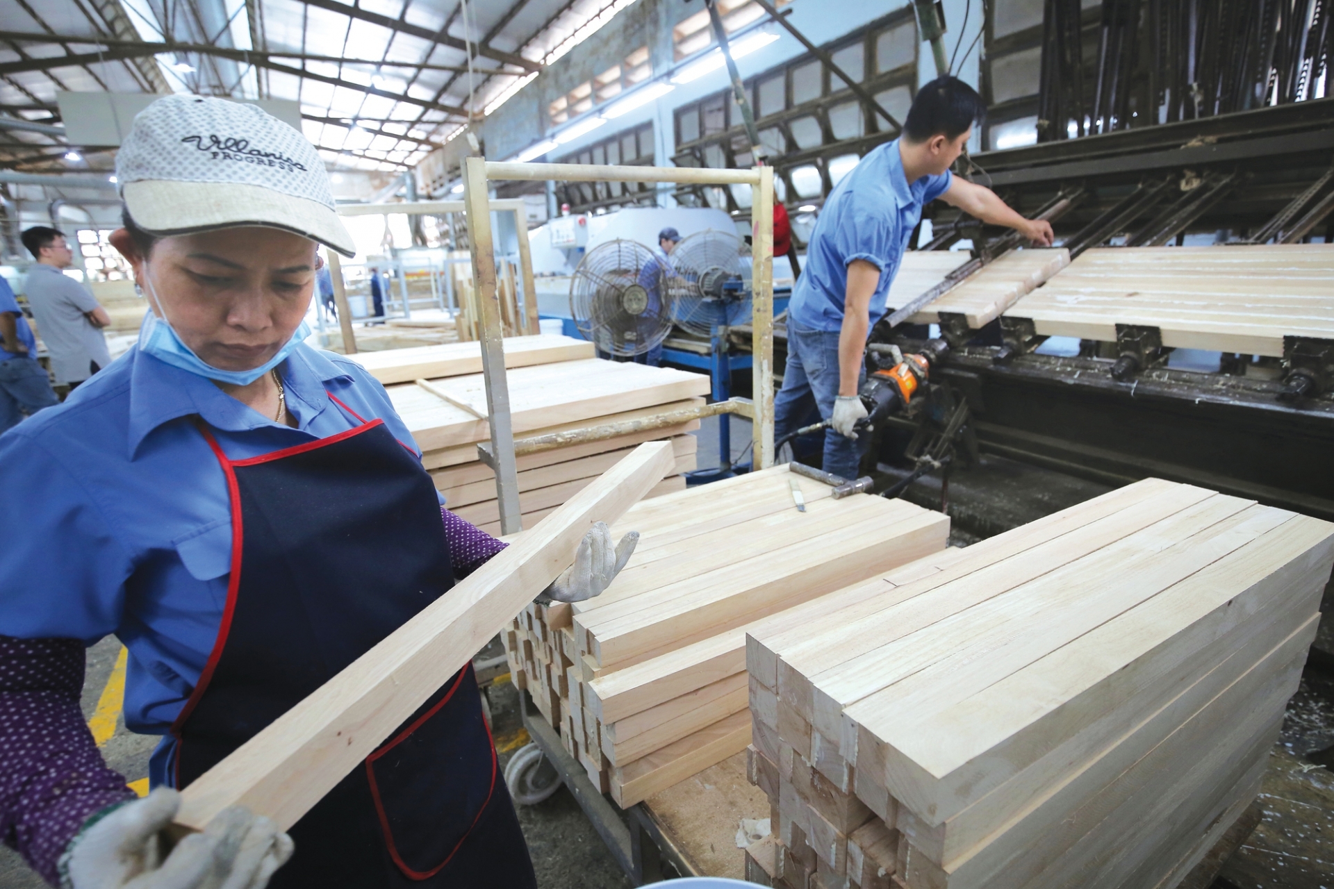 ຂະແໜງປ່າໄມ້ 2025: ຜ່ານຜ່າສິ່ງທ້າທາຍ, ປົກປັກຮັກສາປ່າໄມ້, ບັນລຸການເຕີບໂຕສູງ. ຂະແໜງປ່າໄມ້ 2025: ຜ່ານຜ່າສິ່ງທ້າທາຍ, ປົກປັກຮັກສາປ່າໄມ້, ບັນລຸການເຕີບໂຕສູງ.