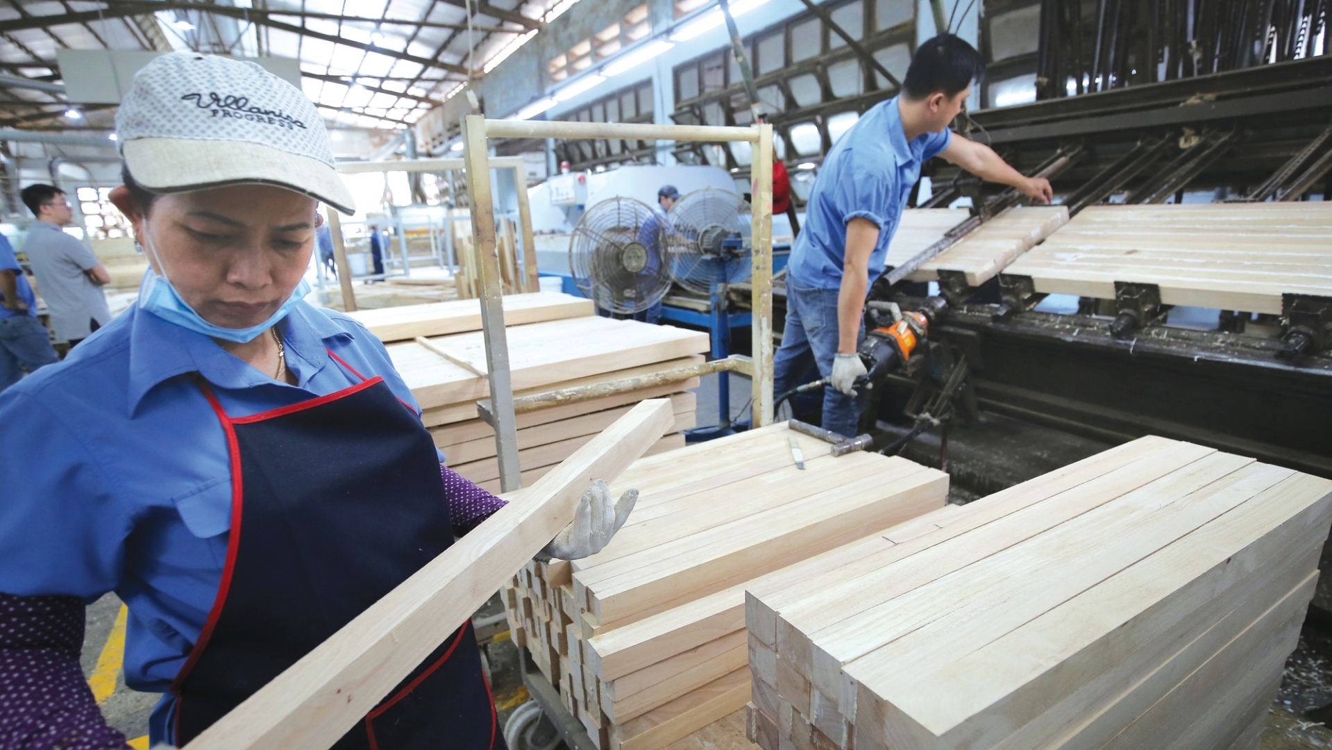 ຂະແໜງປ່າໄມ້ 2025: ຜ່ານຜ່າສິ່ງທ້າທາຍ, ປົກປັກຮັກສາປ່າໄມ້, ບັນລຸການເຕີບໂຕສູງ.