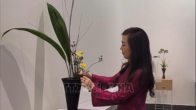 ຊົມເຊີຍສິລະປະການຈັດດອກໄມ້ແບບຍີ່ປຸ່ນໃນສະຖານທີ່ວັດທະນະທຳຂອງຮ່າໂນ້ຍ