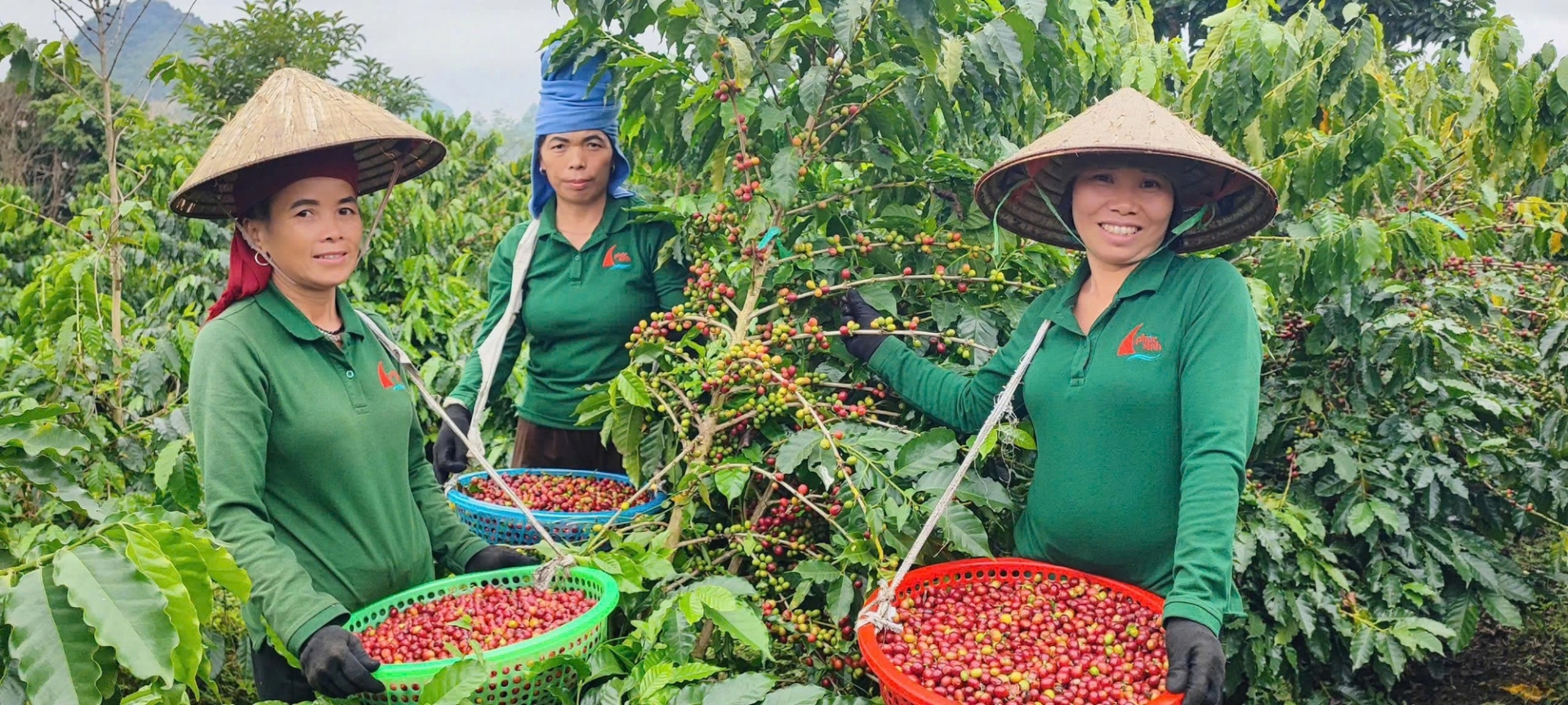 ມະຕິເລກທີ 79 ຈາກທັດສະນະຂອງວິສາຫະກິດເອກະຊົນ: ການເດີນທາງຮ່ວມກັນເພື່ອບັນລຸໃຫ້ໄດ້ໄກກວ່າ ມະຕິເລກທີ 79 ຈາກທັດສະນະຂອງວິສາຫະກິດເອກະຊົນ: ການເດີນທາງຮ່ວມກັນເພື່ອບັນລຸໃຫ້ໄດ້ໄກກວ່າ