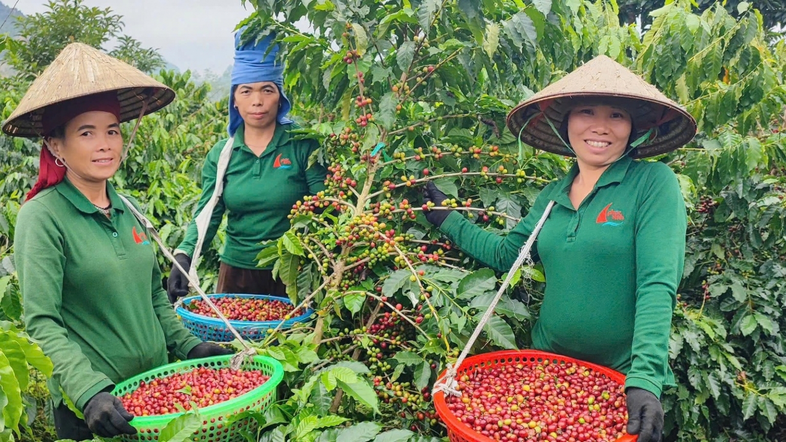 ມະຕິເລກທີ 79 ຈາກທັດສະນະຂອງວິສາຫະກິດເອກະຊົນ: ການເດີນທາງຮ່ວມກັນເພື່ອບັນລຸໃຫ້ໄດ້ໄກກວ່າ