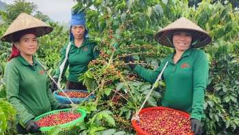 ມະຕິເລກທີ 79 ຈາກທັດສະນະຂອງວິສາຫະກິດເອກະຊົນ: ການເດີນທາງຮ່ວມກັນເພື່ອບັນລຸໃຫ້ໄດ້ໄກກວ່າ