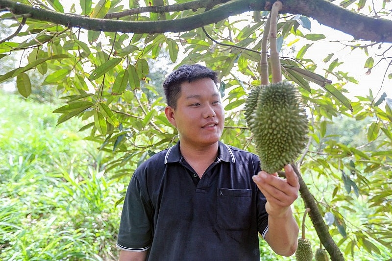 ຊ່ວຍ​ໃຫ້​ໄວ​ໜຸ່ມ​ແຂວງ​ ເລີມດົງ ​ຮັ່ງມີ​ຢູ່​ບ້ານ​ເກີດ​ເມືອງ​ນອນ