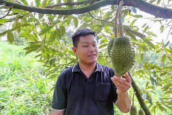 ຊ່ວຍ​ໃຫ້​ໄວ​ໜຸ່ມ​ແຂວງ​ ເລີມດົງ ​ຮັ່ງມີ​ຢູ່​ບ້ານ​ເກີດ​ເມືອງ​ນອນ