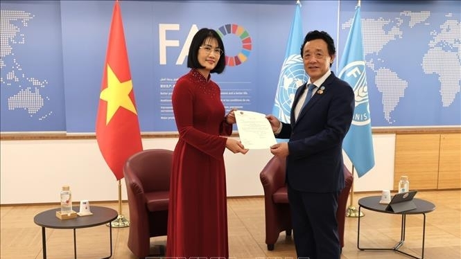 FAO ຍາມໃດກໍຖື ຫວຽດນາມ ເປັນຄູ່ຮ່ວມມືອັນສຳຄັນຢູ່ໃນພາກພື້ນ