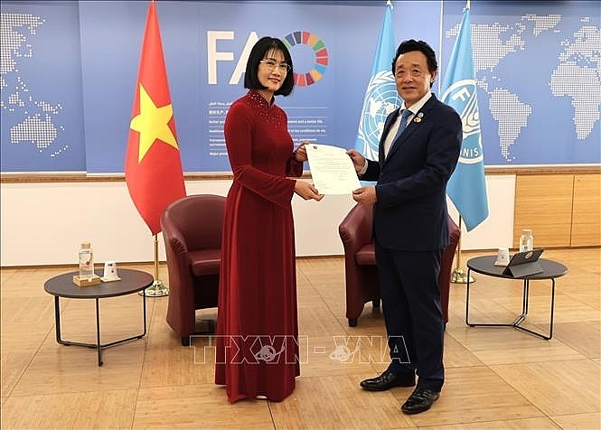 FAO ຍາມໃດກໍຖື ຫວຽດນາມ ເປັນຄູ່ຮ່ວມມືອັນສຳຄັນຢູ່ໃນພາກພື້ນ