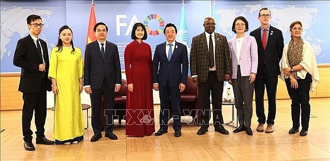 FAO ຍາມໃດກໍຖື ຫວຽດນາມ ເປັນຄູ່ຮ່ວມມືອັນສຳຄັນຢູ່ໃນພາກພື້ນ