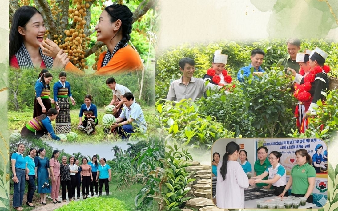 ສະມາຄົມຊາວນາຫວຽດນາມ ນັບຕັ້ງແຕ່ກອງປະຊຸມໃຫຍ່ ຄັ້ງທີ VIII ມາຮອດປັດຈຸບັນ: ບັນດາໝາກຜົນອັນພົ້ນເດັ່ນພາຍໃນວຽກງານສະມາຄົມ ແລະ ຂະບວນການຊາວນາ