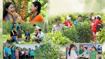 ສະມາຄົມຊາວນາຫວຽດນາມ ນັບຕັ້ງແຕ່ກອງປະຊຸມໃຫຍ່ ຄັ້ງທີ VIII ມາຮອດປັດຈຸບັນ: ບັນດາໝາກຜົນອັນພົ້ນເດັ່ນພາຍໃນວຽກງານສະມາຄົມ ແລະ ຂະບວນການຊາວນາ