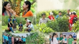 ສະມາຄົມຊາວນາຫວຽດນາມ ນັບຕັ້ງແຕ່ກອງປະຊຸມໃຫຍ່ ຄັ້ງທີ VIII ມາຮອດປັດຈຸບັນ: ບັນດາໝາກຜົນອັນພົ້ນເດັ່ນພາຍໃນວຽກງານສະມາຄົມ ແລະ ຂະບວນການຊາວນາ