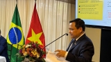 ການເປີດກວ້າງຂອບເຂດການຮ່ວມມືດ້ານພະລັງງານທົດແທນ ລະຫວ່າງ ຫວຽດນາມ ແລະ ບຣາຊິນ