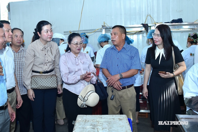 ຊຸກຍູ້ການຮ່ວມມືດ້ານເສດຖະກິດລວມໝູ່ ຮ່ວມກັບ ສາທາລະນະລັດ ປະຊາທິປະໄຕ ປະຊາຊົນລາວ