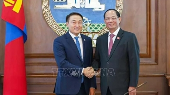 ນຳການພົວພັນ​ຮ່ວມ​ມື​ລະຫວ່າງ​ຫວຽດນາມ - ມົງ​ໂກລີ ພັດທະນາຢ່າງແທດຈິງ, ມີ​ປະສິດທິ​ຜົນ ​ແລະ ຮອບດ້ານ