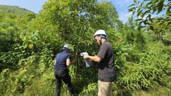 ການປູກປ່າ carbon credit: ພ້ອມກັບປະເທດເພື່ອນລາວ ພັດທະນາເສດຖະກິດສີຂຽວແບບຍືນຍົງ