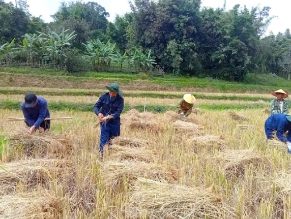ການເດີນທາງຊອກຄົ້ນຂຸມຝັງສົບຂອງນັກຮົບເສຍສະຫຼະຊີວິດເພື່ອຊາດຢູ່ປະເທດເພື່ອນ ລາວ