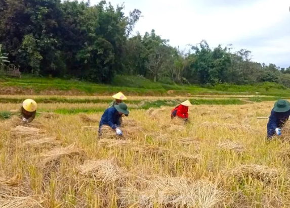 ການເດີນທາງຊອກຄົ້ນຂຸມຝັງສົບຂອງນັກຮົບເສຍສະຫຼະຊີວິດເພື່ອຊາດຢູ່ປະເທດເພື່ອນ ລາວ
