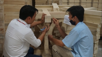 ຂະແໜງການປ່າໄມ້: ກ້າວໄປສູ່ການພັດທະນາແບບຍືນຍົງ, ທັນສະໄໝ ແລະ ມູນຄ່າຫຼາຍດ້ານ