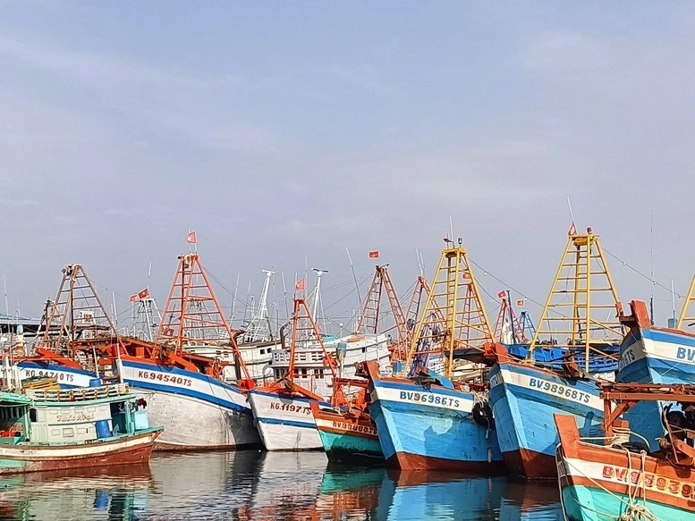 ນະຄອນ ໂຮ່ຈີມິງ ບໍ່ມີເຮືອປະມົງ ທີ່ລະເມີດກົດໝາຍ IUU