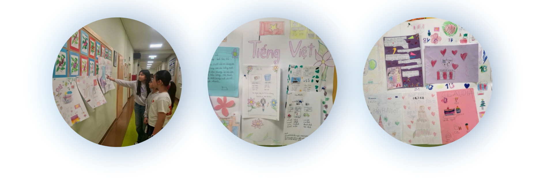 ການປະສົມປະສານທີ່ສົມທົບ ຄວາມຕັ້ງໃຈສູງ ​ເພື່ອ​ເຜີຍ​ແຜ່​ພາສາຫວຽດນາມ ​ແລະ ຍືນ​ຍົງ