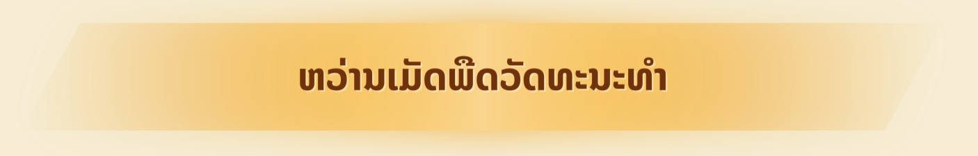 Hành trình gieo duyên tiếng Việt ở Sri Lanka Hành trình gieo duyên tiếng Việt ở Sri Lanka