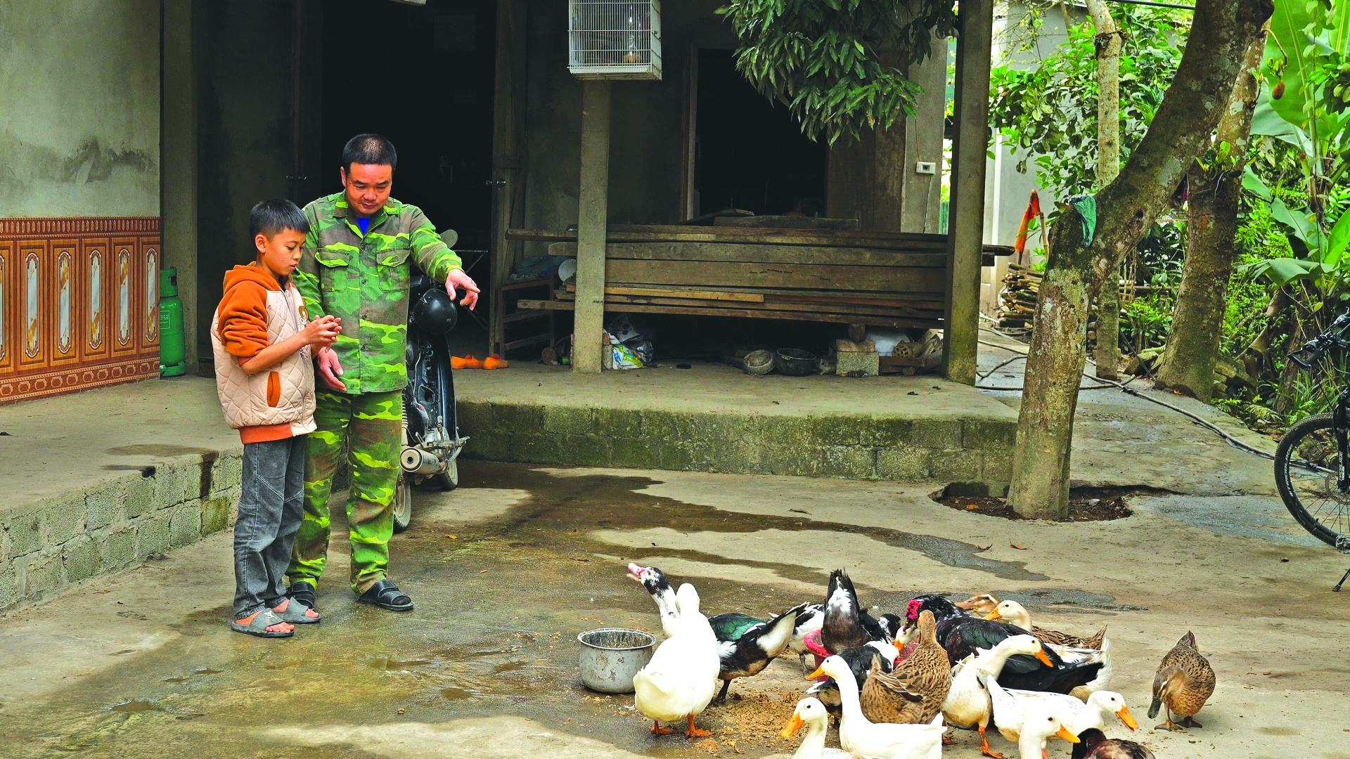ອົງການບໍ່ຂຶ້ນກັບລັດຖະບານຕ່າງປະເທດ ປີ 2024: ປະກອບສ່ວນເຂົ້າໃນຂະບວນການພັດທະນາແບບຍືນຍົງຂອງຫວຽດນາມຢ່າງຕັ້ງໜ້າ