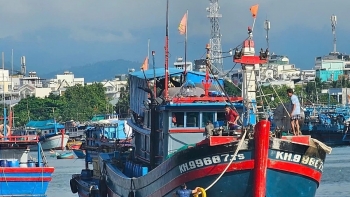 ການເກັບກູ້ປາທູນາທີ່ອຸດົມສົມບູນ, ຂະນະທີ່ໄດ້ຮັດແໜ້ນລະບຽບການຫາປາ IUU: ແຄ໋ງຮ່ວາ ເລີ່ມຕົ້ນປີໃໝ່ດ້ວຍການປະມົງແບບຍືນຍົງ.