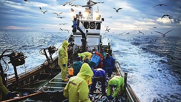 ພື້ນຖານໂຄງລ່າງ: "ກະແຈອ່ອນ" ເພື່ອຍົກເລີກບັດເຫຼືອງ IUU.