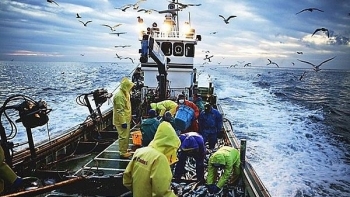 ພື້ນຖານໂຄງລ່າງ: 