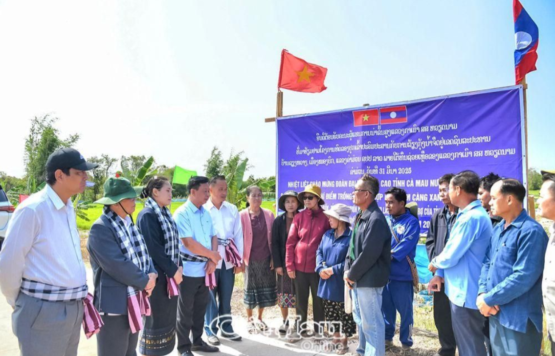 ກ່າເມົາ-ຄຳມ່ວນ ຈັດກອງປະຊຸມຕີລາຄາໂຄງການປູກເຂົ້າປະສົມກັບການລ້ຽງກຸ້ງ