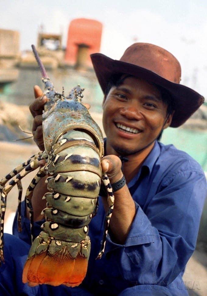 ປະຕິບັດມາດຕະການຢ່າງເດັດຂາດເພື່ອແກ້ໄຂບັນຫາທີ່ມີຢູ່ແລ້ວໃນການຕໍ່ສູ້ກັບການຫາປາ IUU.