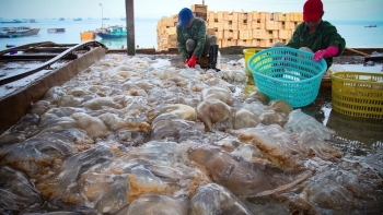 ປະຕິບັດມາດຕະການຢ່າງເດັດຂາດເພື່ອແກ້ໄຂບັນຫາທີ່ມີຢູ່ແລ້ວໃນການຕໍ່ສູ້ກັບການຫາປາ IUU.