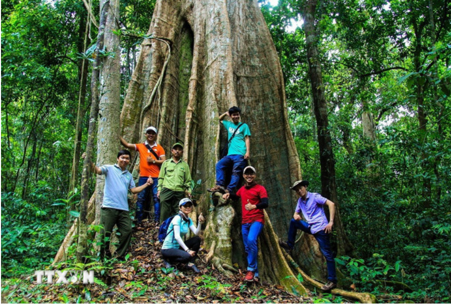 ຄົ້ນເຫັນ 3 ສວນມໍລະດົກອາຊຽນໃໝ່ ຂອງຫວຽດນາມ