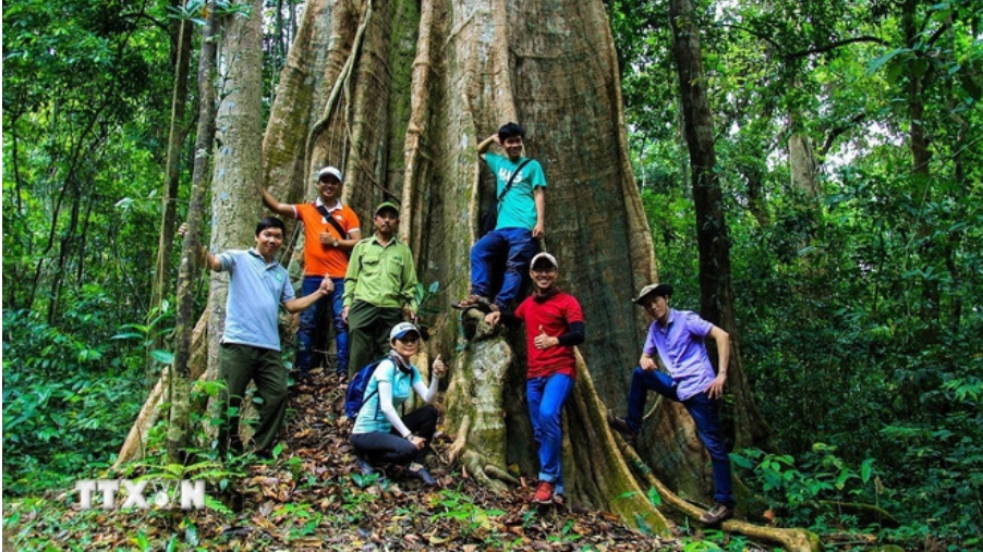 ຄົ້ນເຫັນ 3 ສວນມໍລະດົກອາຊຽນໃໝ່ ຂອງຫວຽດນາມ
