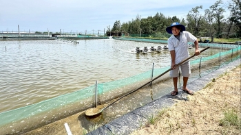 ທິດທາງໃໝ່ສຳລັບລ້ຽງຊີບຂອງຊາວປະມົງຫວຽດນາມ