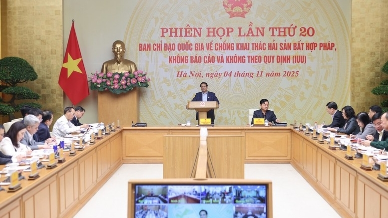 ການລຶບ "ບັດເຫຼືອງ" ຂອງ EC: ການກວດຄຶືນກອງເຮືອຢ່າງລະອຽດ, ການຫັນຂໍ້ມູນເປັນດິຈິຕອນ, ແລະ ການຈັດການການລະເມີດ